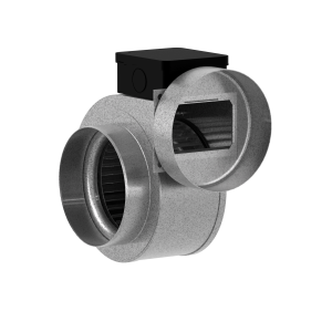 7700295_RFE_120_MKR_aut_tp.png